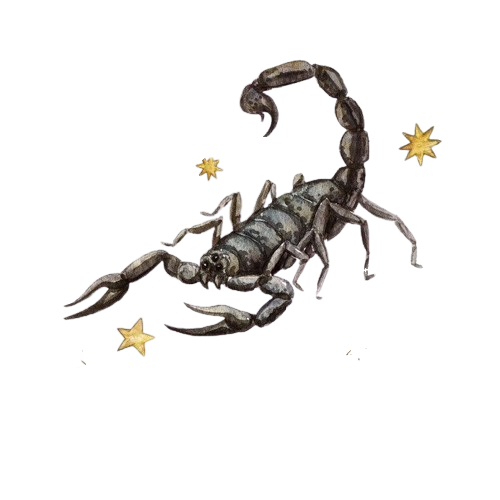 Scorpion